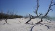 Captiva Sanibel