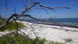 Charlotte Harbor