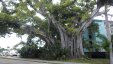 Charlotte Harbor